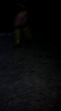 Public Bee Peeing In The Road After Party snapshot 1