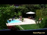 Voyeur papy in Franse tiener gangbang snapshot 8