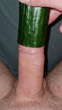 Horny cucumber play sloppy snapshot 3