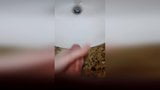 Fapping en el baño 2 snapshot 2