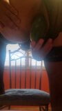 Asspussy in Sexy Sheer Black Panties Takes Another Huge Cucumber & Still Wants More In a Marathon Session!! snapshot 6