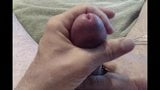 Head teasing, precum and cockring vibrating for a huge nut snapshot 2