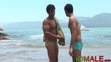 Spicy Jock spara gallone di sperma dopo l'allevamento sulla spiaggia snapshot 2