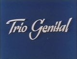 Trio Genital (Love Film)(1976) snapshot 1