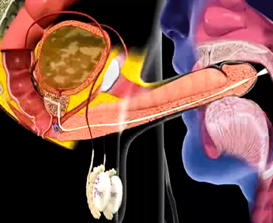 cum-in-mouth-animation-free-cum-swallowing-hd-porn-a8-xhamster