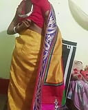 Desi bhabhi sari sex snapshot 1