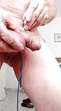 castration by elastrator and needling play snapshot 8