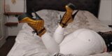 BWB MissBigButt modeling her collection of boots in white freddy pants and black shiny latex corsage in bed snapshot 6