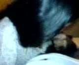 Sri Lanka Girls Sucking His hubby dic snapshot 10