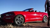 Desert Mustang Lady Playing, Mrs Samantha and her Red Mustang snapshot 5