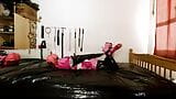Sissy Maid Hogtied in Armbinder while in Steel Chastity Belt, Gagged snapshot 16
