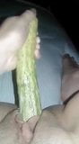 Cucumber pussy sex snapshot 4