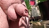 Uncut cock pissing through wet foreskin in the garden snapshot 4