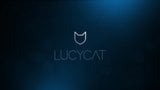 Lucy kedi ile etkileşimli pislik meydan okuması snapshot 1