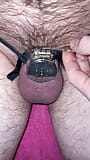 Flat chastity cage penis check snapshot 5