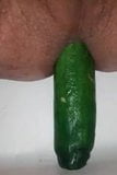 Turk gay cucumber snapshot 8