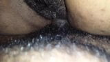 hairy snapshot 8