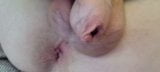 Sissy Hole Close Up Asshole Uncut Cock Sexy Hot & Young snapshot 1