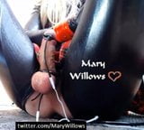 Mary willows tiene un buen mariquita snapshot 4