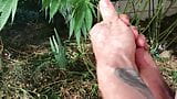 Trans Girl Jacking in the Weeds snapshot 10