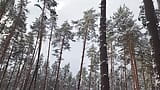 Hårt knull i snöiga skogen - ånga kommer ut ur hennes fitta tillsammans med sperma snapshot 1