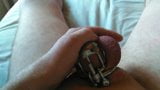 In my chastity cage snapshot 5