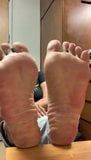 Soles 252 snapshot 2