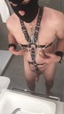 Slave in Harness with nipple clamps and cockrings jerking of snapshot 2