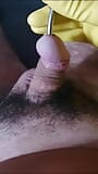 Küçük penis sesi snapshot 1