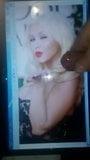 Christina aguilera berkontribusi 3 snapshot 1