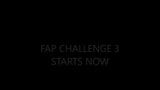 FAP CHALLENGE 3 snapshot 1