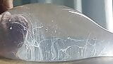 Lelaki celah Timonrdd memancut keras dalam kondom yang dipenuhi air snapshot 9