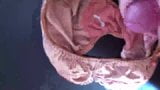 Mother in Law's dirty panties snapshot 9