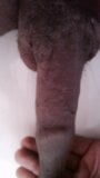 DADDY HAS A BIG DICK FOR YOU snapshot 6