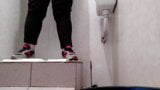 Hot milf pissing in public toilet snapshot 10