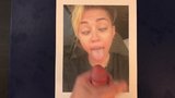 Tribute To Miley Cyrus snapshot 4