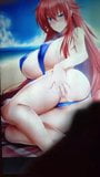 Cumtribute rias gremory paja tributo snapshot 5