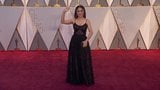 Salma Hayek at 2017 Oscars red carpet snapshot 2