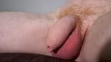 Close up of foreskin and naturally soft cock flopping snapshot 1