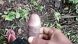 Desi indiano gay masturbazione grosso cazzo nella foresta 18 snapshot 13