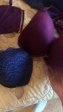 Jerking off with the other half of wifes bras and panties snapshot 5