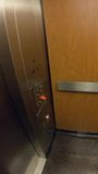 Berkedip di perpustakaan berubah menjadi sialan di lift snapshot 3