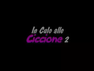 Free watch & Download In Culo Alle Ciccione 2