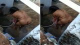 Today Exclusive- Desi Bhabhi After Bath Part ... snapshot 5