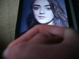 Eerbetoon aan Maisie Williams snapshot 3