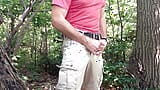 Jerking off in the woods, showing a little sagging in my favorite American Eagle AE boxers. Long edge session. Verbal snapshot 2