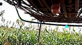 Village 9 inch cock fuck cot enjoying in jungle snapshot 7