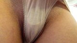 Panties and oil masturbation snapshot 1