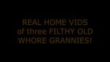 Home Video of 3 OLD WHORES snapshot 1