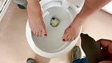 Nemo me fait honte en me pissant sur les pieds dans des toilettes publiques pour personnes à mobilité réduite snapshot 9